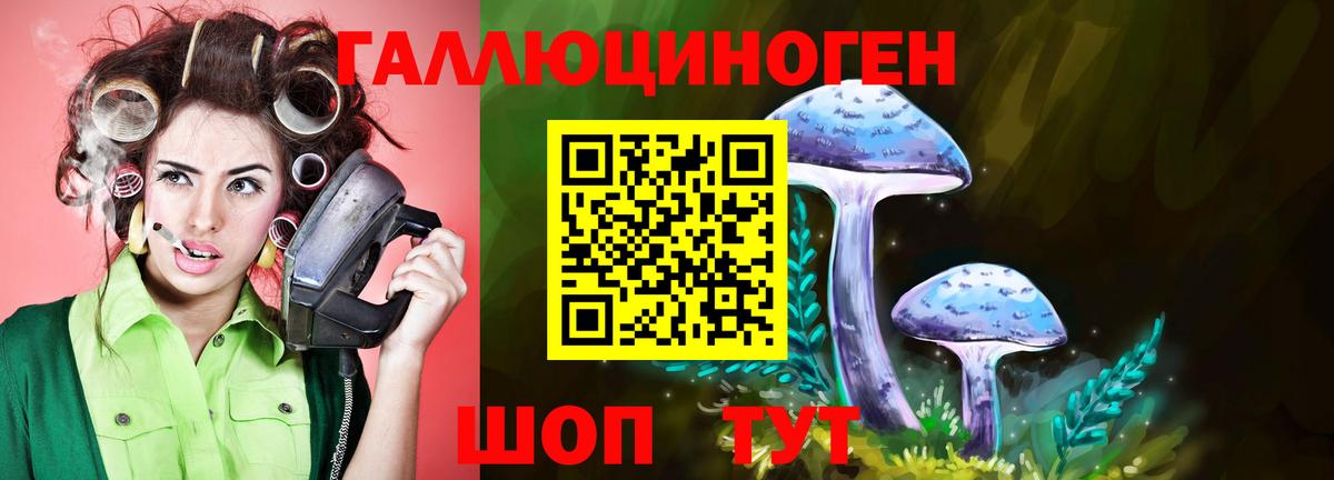 Псилоцибиновые грибы Cubensis Артём